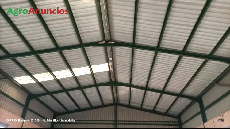 Venta  de Finca con nave en Badajoz