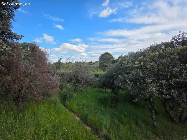 Parcelas en Venta Montecalderón El Casar 1474m²