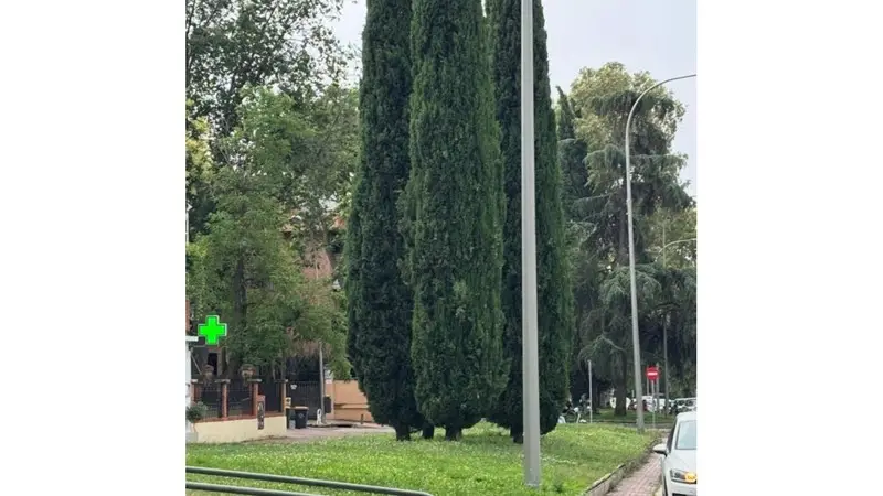Piso amplio en Arturo Soria con 5 dormitorios y garaje