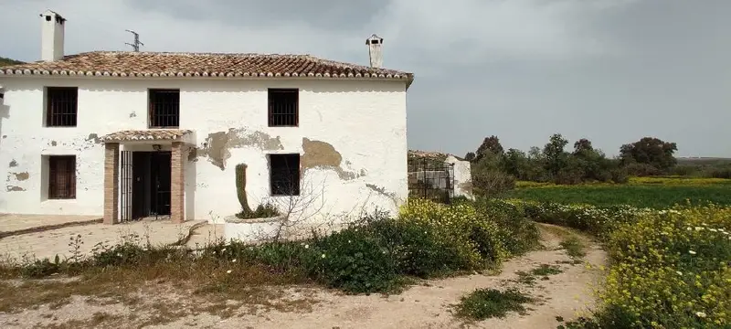 Venta Finca Herrera Sevilla 2 Plantas Piscina Nave 12977m2