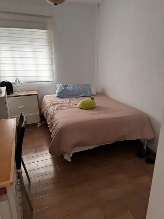 Apartamento 1 Dormitorio Malaga Alquiler
