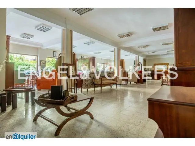 Alquiler Local Comercial Nervión 165m2 2 Plazas Parking