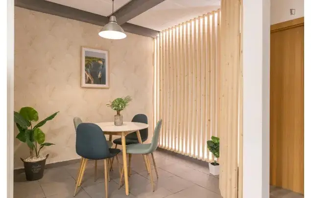 Rent 7 bedroom apartment in Madrid