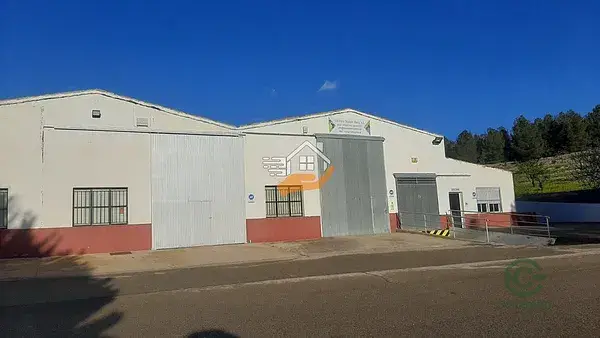 Venta de Unidad Productiva Vitivinicola 7ha Almeria