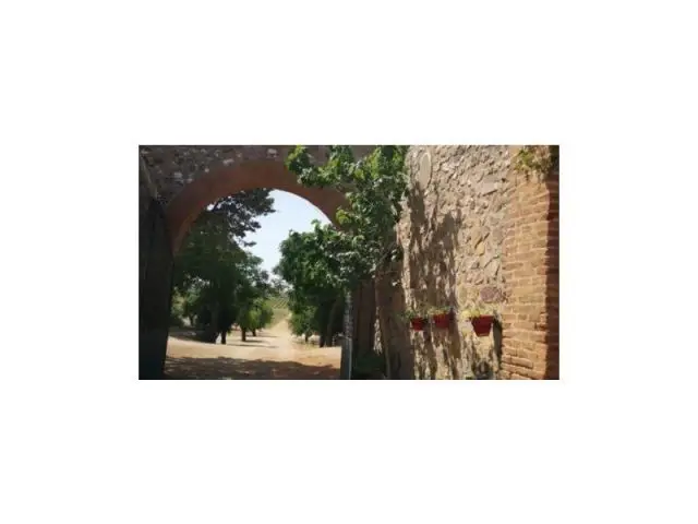 Finca 400 Hectareas Ciudad Real Regadio Viñedos Olivos Almazara Bodega