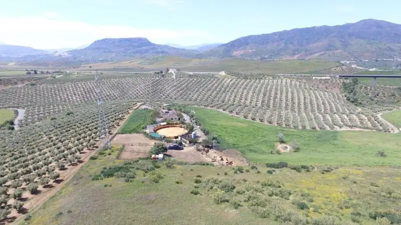 Finca Rustica con Chalet y Molino de Aceite