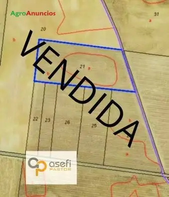 Venta  de Finca rústica en Valladolid