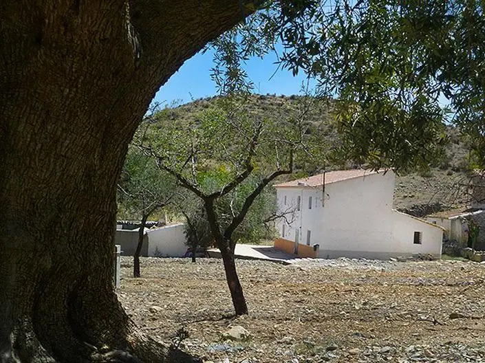 Cortijo de 5 Dormitorios en Venta