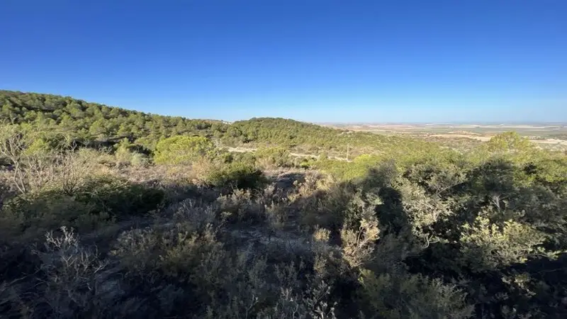 Venta Terreno Osuna 85m2 Edificables