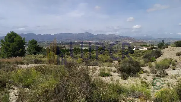 Terreno Rustico en Venta Monforte del Cid