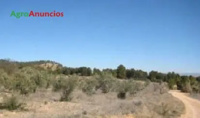 Venta  de Finca para recreo y vivienda rural en Valencia