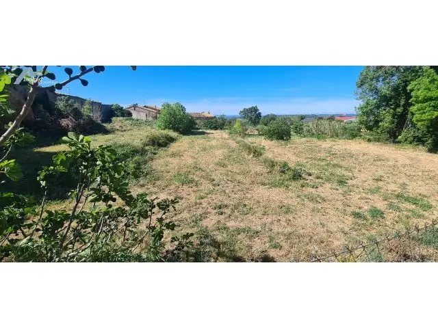 Tres Fincas en Loarre: Casa, Huerto y Solar Urbano