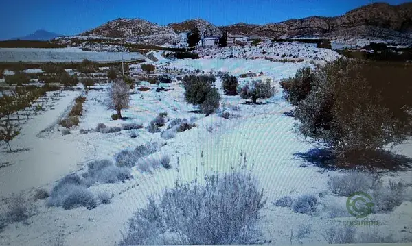 Terreno Agricola 13416m2 Molina de Segura Murcia