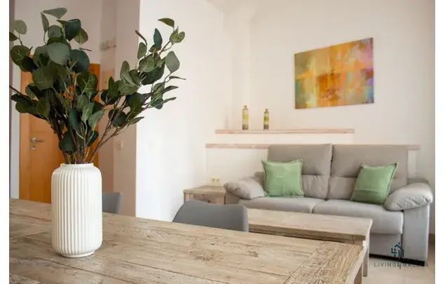Apartamento 1 Dormitorio 40m2 Malaga Centro Historico