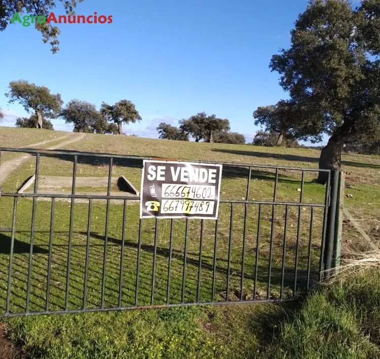 Venta  de Finca con dehesa en Córdoba