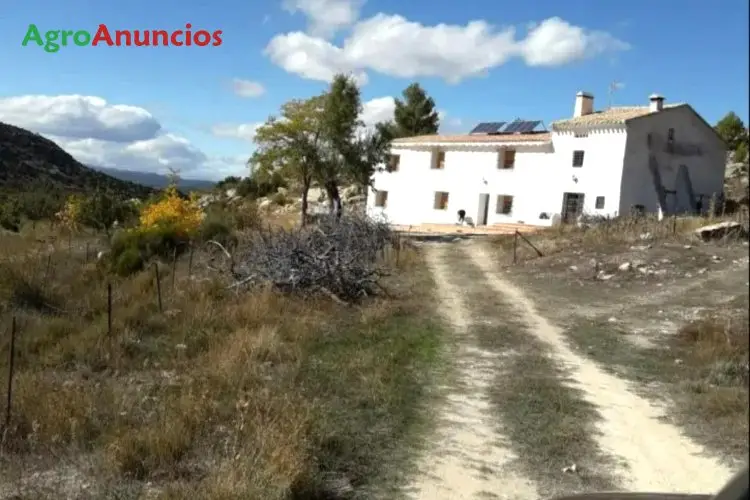 Venta  de Finca de regadío en Albacete