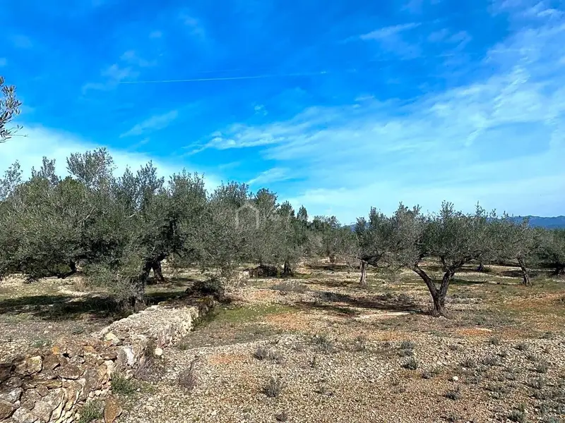 Finca Rustica en El Perello Tarragona