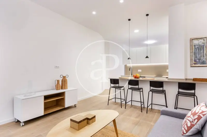 Apartamento en Alquiler Valencia Centro Historico Reformado