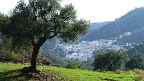 Terreno en Venta Benahavis 48000m2 12 Villas Hotel