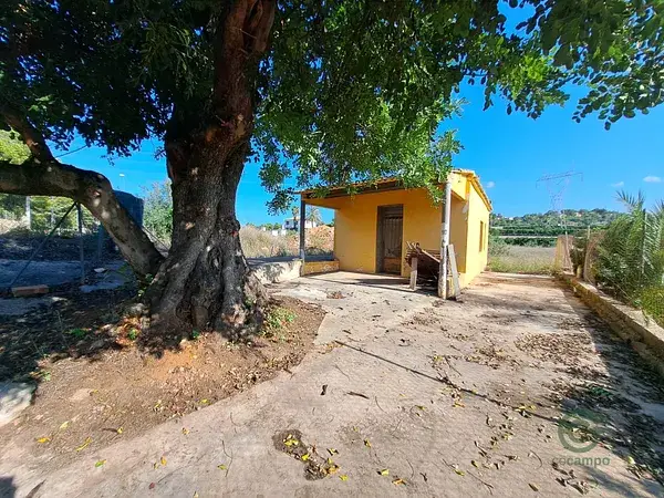 Parcela Rustica Alberic 5279m2 Agua de Riego Casa Aperos