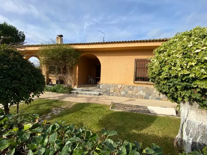 Villa en Venta Sax 3 Dormitorios Piscina Establo