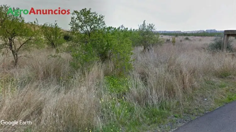 Venta  de Finca de recreo en Castellón