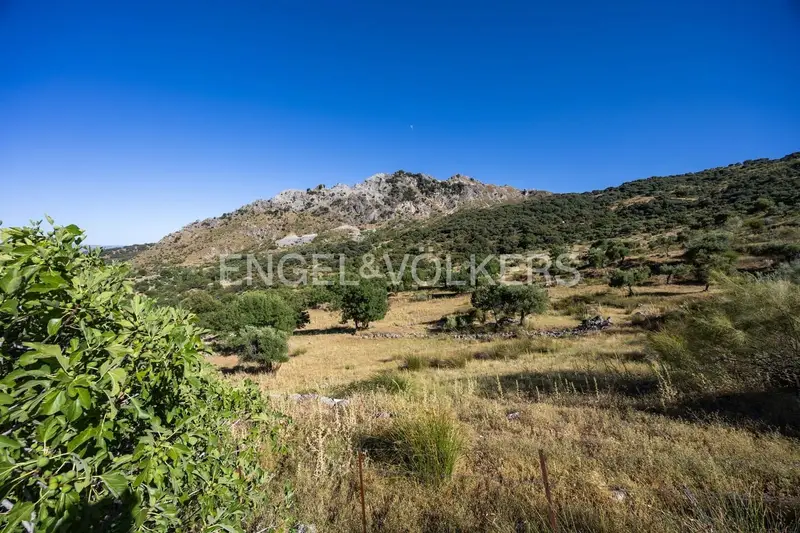 Finca Rustica Grazalema 25 Hectareas Casa 500m2