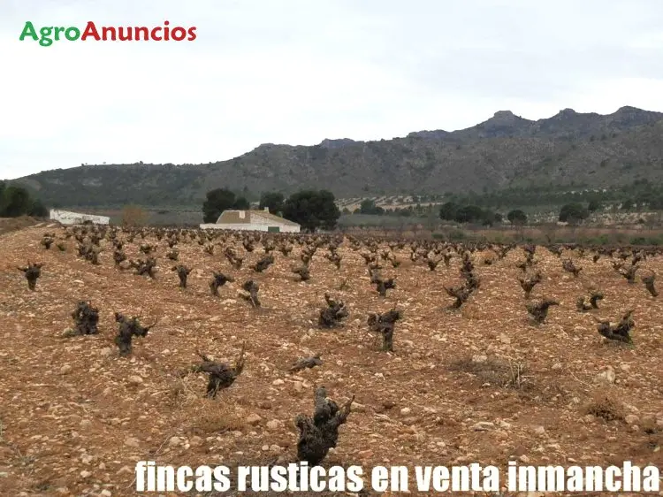 Venta  de Finca de caza con casa en Albacete