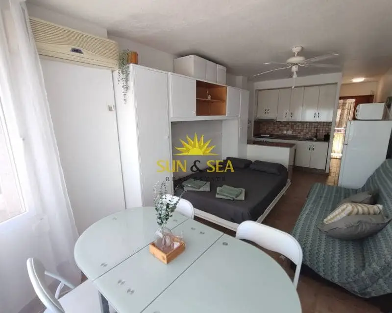 Estudio en Alquiler Mil Palmeras Septiembre a Junio