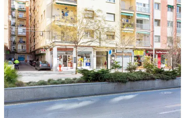 Rent 4 bedroom apartment in Granada