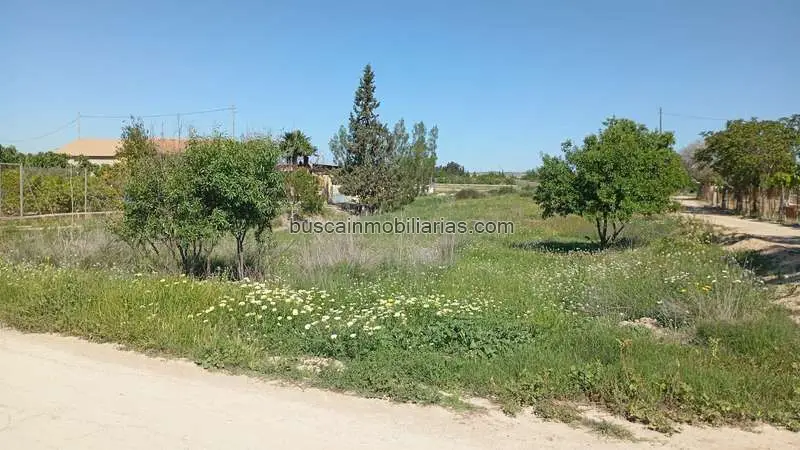 Parcela Rustica en Venta Murcia Sangonera la Seca