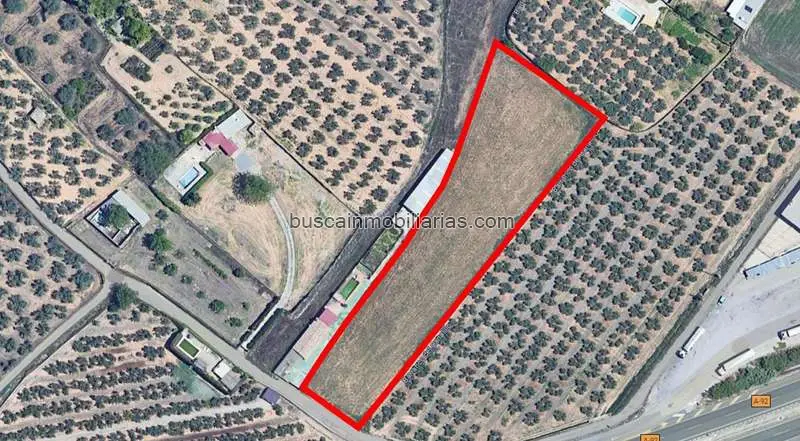 Parcela Rustica en Venta Albolote 5594m2