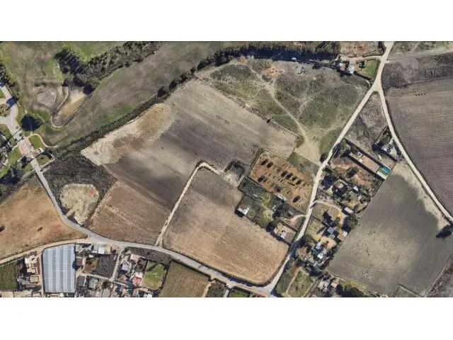 Fincas Rusticas Martin Miguel Cultivo Viñedo Recreo