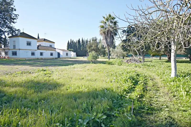Finca Rural Jerez 7 Dormitorios Piscina 12500m2