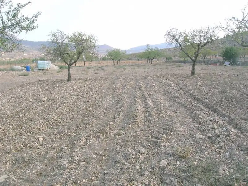 Venta Terreno 11497m2 Rebalso Hondon de Las Nieves
