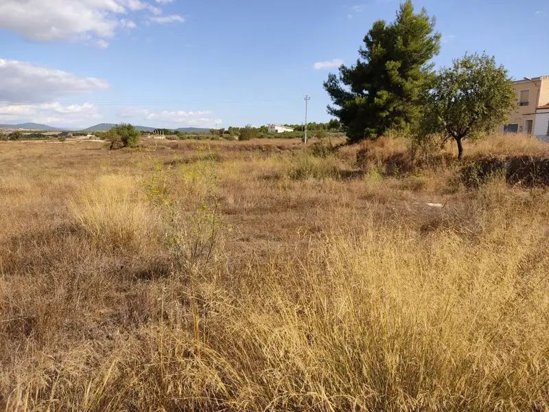 Venta Solar San Roque Almansa 600m2 Ideal Vivienda Unifamiliar