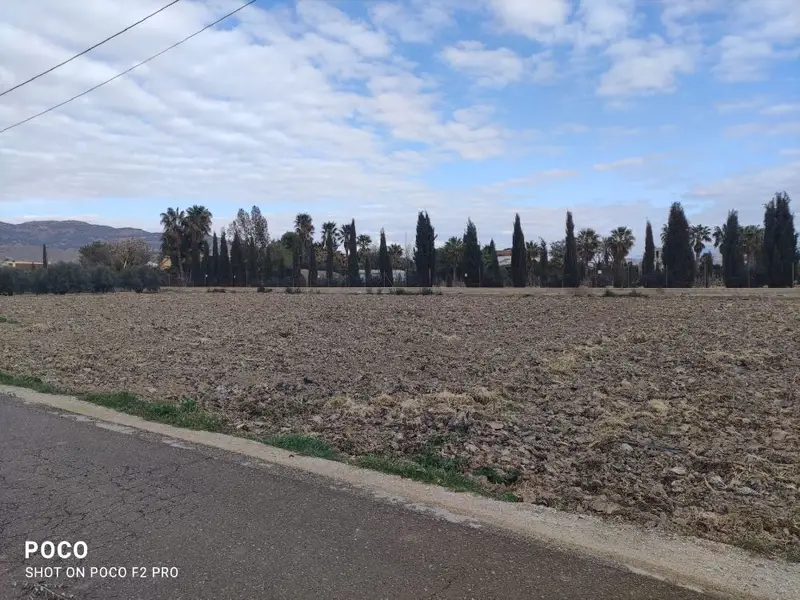 Venta Parcela Edificable Campillo Lorca 5000m2