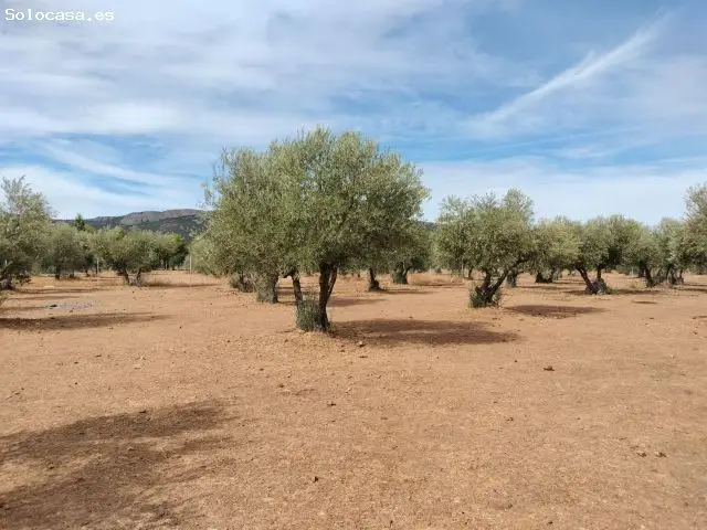 Finca Rustica en Venta en Puertollano Ciudad Real