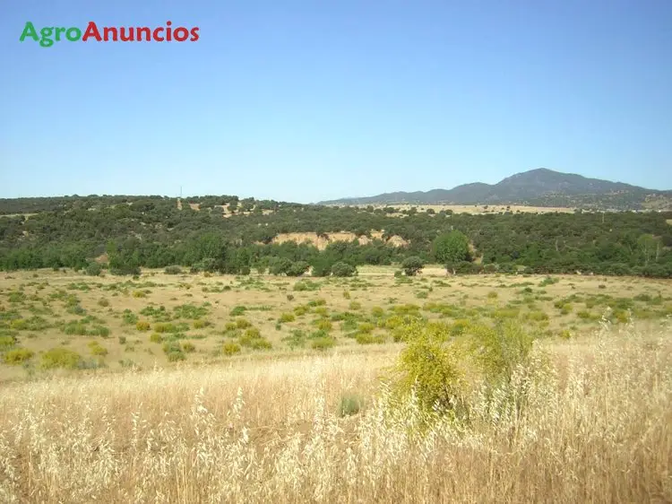 Venta  de Finca rústica con cortijo para reformar en Madrid