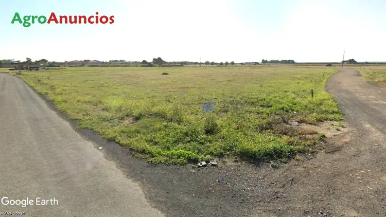 Venta  de Terreno llano de labor a las afueras del pueblo en Ciudad Real