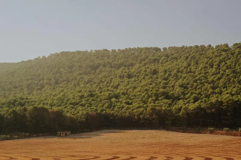 Solar en Venta Humilladero 300m2
