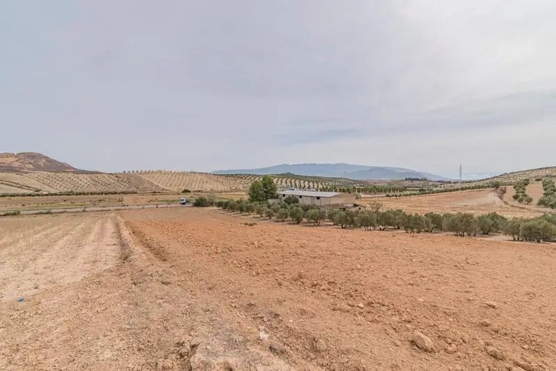 Venta de Haza de Secano en La Malaha Granada