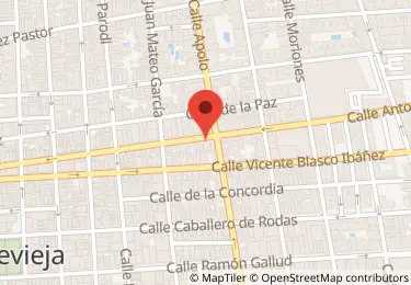 Venta 50 Nuda Propiedad Local Torrevieja Calle Antonio Machado