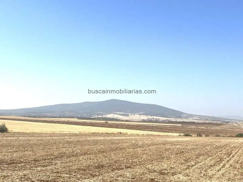 Finca Rustica en Venta cerca Don Benito