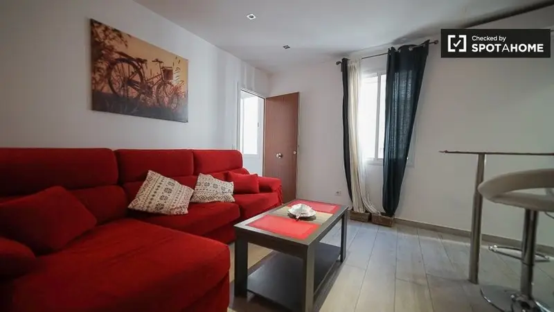 Apartamento en Alquiler Madrid Centro 1 Dormitorio