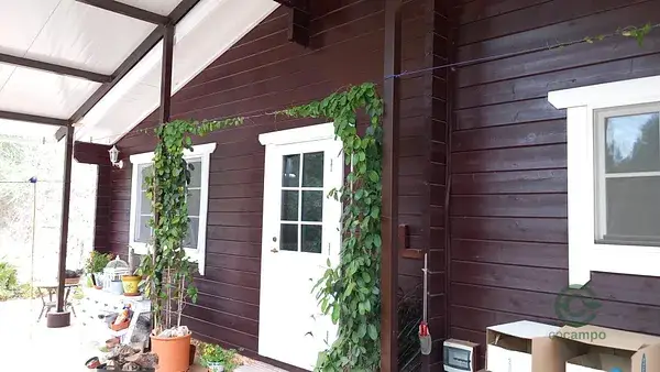 Casa con terreno y olivos en Molina de Segura