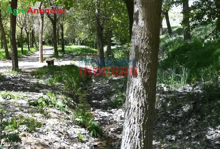 Venta  de Finca cinegética agrícola y de recreo en Toledo