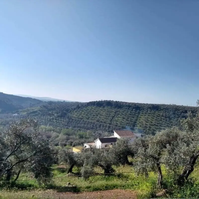 Casa Ecologica con 6 Dormitorios y 85000m2 de Finca en Montoro