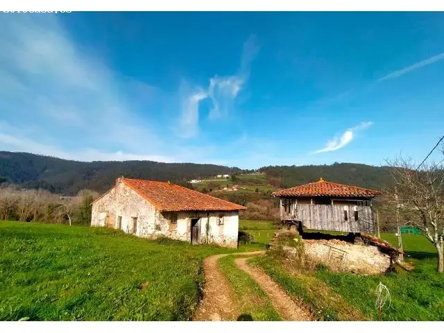 Conjunto Rural Asturiano: Dos Casas, Horreo y Fincas