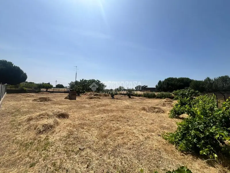 Terreno Rustico en Talavera de la Reina 1300m2